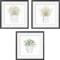 Framed 'Garden Plants 3 Piece Framed Art Print Set' border=