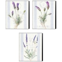 Framed 'Floursack Lavender 3 Piece Canvas Print Set' border=