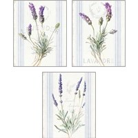 Framed 'Floursack Lavender 3 Piece Art Print Set' border=