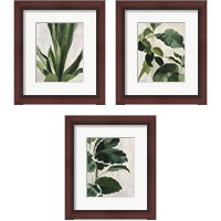 Framed Tropical Study 3 Piece Framed Art Print Set