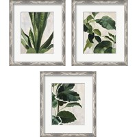 Framed 'Tropical Study 3 Piece Framed Art Print Set' border=