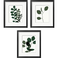 Framed 'Green Eucalyptus 3 Piece Framed Art Print Set' border=