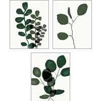 Framed 'Green Eucalyptus 3 Piece Art Print Set' border=