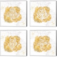 Framed 'Golden Coral 4 Piece Canvas Print Set' border=