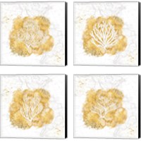 Framed 'Golden Coral 4 Piece Canvas Print Set' border=