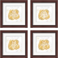 Framed 'Golden Coral 4 Piece Framed Art Print Set' border=