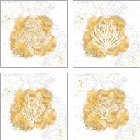Framed 'Golden Coral 4 Piece Art Print Set' border=
