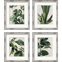 Framed 'Tropical Study 4 Piece Framed Art Print Set' border=