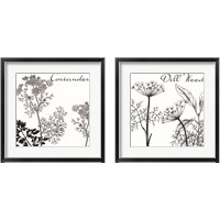 Framed 'Flowering Herbs 2 Piece Framed Art Print Set' border=