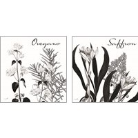 Framed 'Flowering Herbs 2 Piece Art Print Set' border=