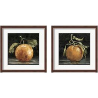 Framed Dark Orange Deux 2 Piece Framed Art Print Set