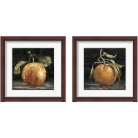 Framed Dark Orange Deux 2 Piece Framed Art Print Set