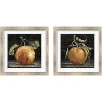 Framed 'Dark Orange Deux 2 Piece Framed Art Print Set' border=