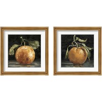 Framed 'Dark Orange Deux 2 Piece Framed Art Print Set' border=