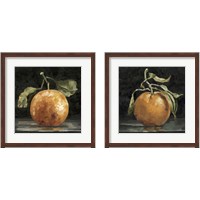 Framed 'Dark Orange Deux 2 Piece Framed Art Print Set' border=