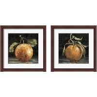 Framed Dark Orange Deux 2 Piece Framed Art Print Set