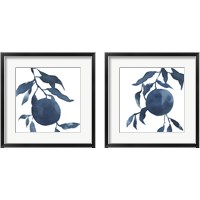 Framed Indigo Oranges 2 Piece Framed Art Print Set