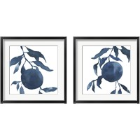 Framed 'Indigo Oranges 2 Piece Framed Art Print Set' border=