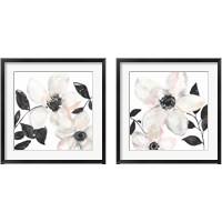 Framed Black & Blush Anemone 2 Piece Framed Art Print Set