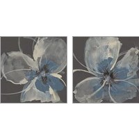Framed 'Expressive Petals 2 Piece Art Print Set' border=