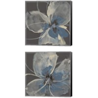 Framed 'Expressive Petals 2 Piece Canvas Print Set' border=