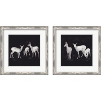 Framed 'Sophisticated Whitetail 2 Piece Framed Art Print Set' border=