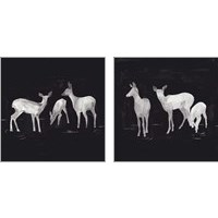 Framed Sophisticated Whitetail 2 Piece Art Print Set