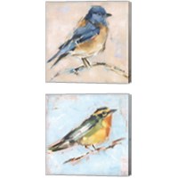Framed 'Bird Variety 2 Piece Canvas Print Set' border=