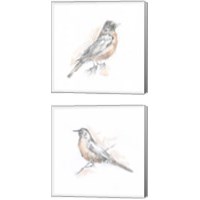 Framed Robin Bird Sketch 2 Piece Canvas Print Set