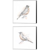 Framed Robin Bird Sketch 2 Piece Canvas Print Set