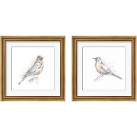 Framed Robin Bird Sketch 2 Piece Framed Art Print Set