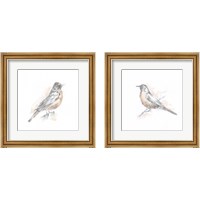 Framed 'Robin Bird Sketch 2 Piece Framed Art Print Set' border=