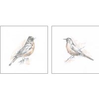 Framed Robin Bird Sketch 2 Piece Art Print Set