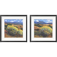 Framed Chamisa 2 Piece Framed Art Print Set