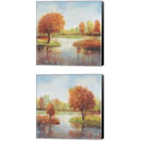 Framed 'Lake Reflections 2 Piece Canvas Print Set' border=
