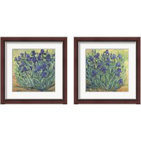 Framed Irises in Bloom 2 Piece Framed Art Print Set