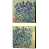 Framed 'Irises in Bloom 2 Piece Canvas Print Set' border=