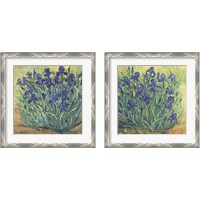 Framed 'Irises in Bloom 2 Piece Framed Art Print Set' border=