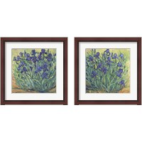 Framed 'Irises in Bloom 2 Piece Framed Art Print Set' border=
