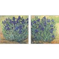 Framed 'Irises in Bloom 2 Piece Art Print Set' border=
