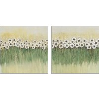 Framed 'Rows of Flowers 2 Piece Art Print Set' border=