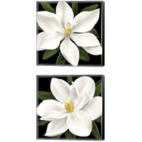 Framed 'Midnight Magnolia 2 Piece Canvas Print Set' border=