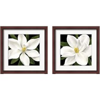 Framed 'Midnight Magnolia 2 Piece Framed Art Print Set' border=