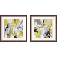 Framed 'Citron Confetti 2 Piece Framed Art Print Set' border=