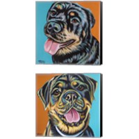 Framed 'Rottweiler  2 Piece Canvas Print Set' border=