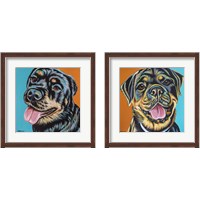 Framed 'Rottweiler  2 Piece Framed Art Print Set' border=