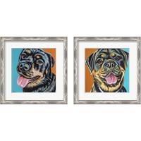 Framed 'Rottweiler  2 Piece Framed Art Print Set' border=