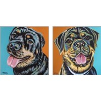 Framed Rottweiler  2 Piece Art Print Set