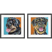 Framed Rottweiler  2 Piece Framed Art Print Set