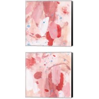 Framed 'Pink Sky 2 Piece Canvas Print Set' border=